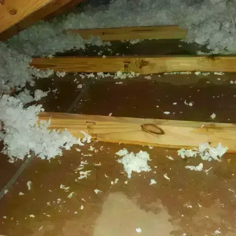 Attic Water Damage in Buffalo, MO