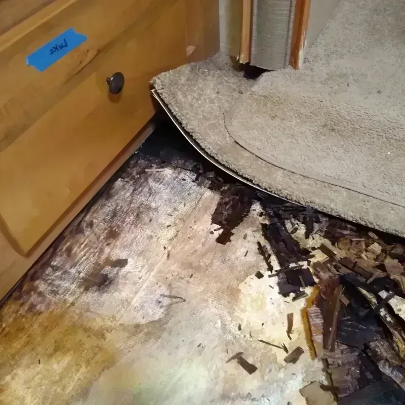 Wood Floor Water Damage in Buffalo, MO